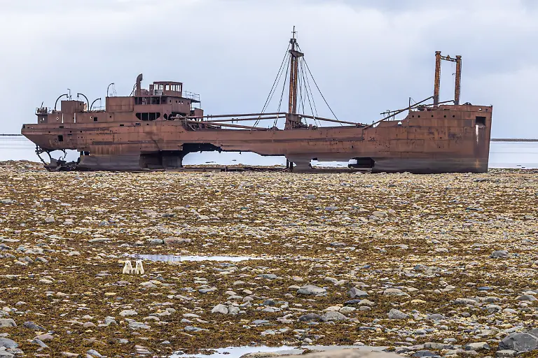 Clear and present danger, by Akshay Manwani